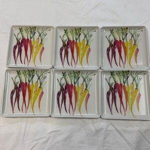 Set of 6 Rachel Ashwell The Farmhouse rainbow carrots melamine appetizer plates